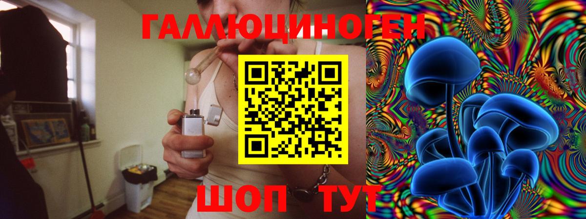 Миасс  Псилоцибиновые грибы мицелий  Вход с VPN  Псилоцибиновые грибы Psilocybine cubensis 